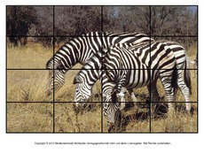 Puzzle-Zebra-2.pdf